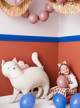 Kitty Party Collection