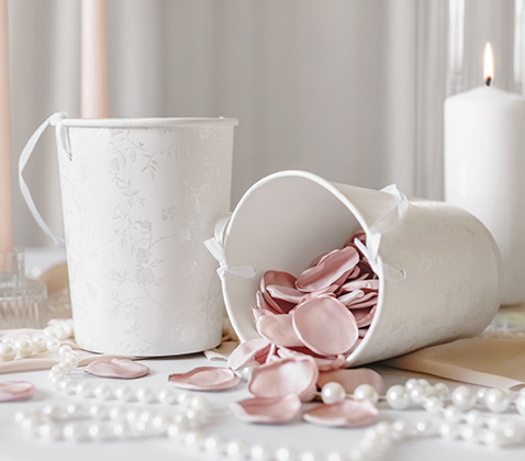 Rose Petals / feathers
