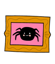 Spiders
