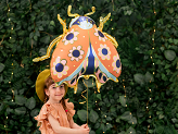 Foil balloon Ladybug, 87x75 cm, mix
