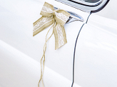 Car decoration kit - Bows