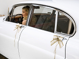 Car decoration kit - Bows