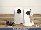 Treat bags, kraft (1 pkt / 6 pc.)
