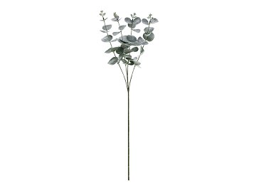 Eucalyptus branch, 60 cm