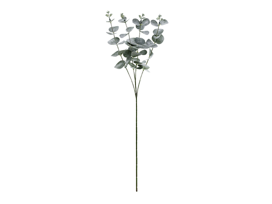 Eucalyptus branch, 60 cm