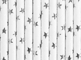 Paper Straws, silver, 19.5cm (1 pkt / 10 pc.)