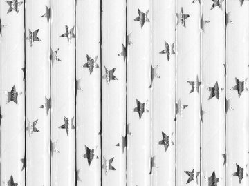 Paper Straws, silver, 19.5cm (1 pkt / 10 pc.)