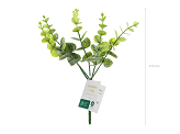Small bouquet of branches - Eucalyptus, 27 cm