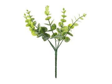Small bouquet of branches - Eucalyptus, 27 cm