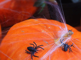 Plastic spiders, black (1 pkt / 10 pc.)