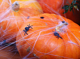 Plastic spiders, black (1 pkt / 10 pc.)