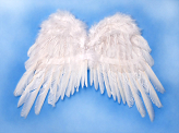 Angel's wings, white, 53 x 37cm