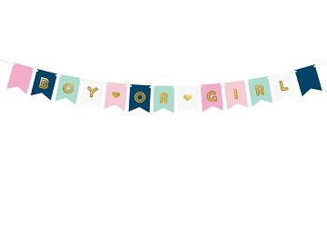 Banner Boy or Girl, mix, 15 x 175 cm