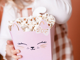 Cat Snack Boxes, Mixed (1 pkt / 3 pc.)