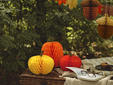 Honeycomb Pumpkins, 18-30cm, mix (1 pkt / 3 pc.)