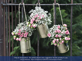 Decorative cans, gold, 10 x 7cm (1 pkt / 5 pc.)