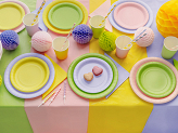 Paper Plates, light pink, 18 cm (1 pkt / 6 pc.)