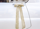 Car decoration kit - Bows, burlap