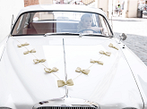Car decoration kit - Bows, burlap