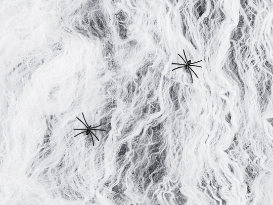 Spiderweb Halloween, white, 200g