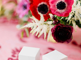 Square boxes, white (1 pkt / 10 pc.)