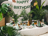 Party hats Dinosaurs, 14 cm, mix (1 pkt / 6 pc.)