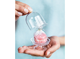 Boxes Cake Stand, colourless, 5.5x7.5cm (1 pkt / 3 pc.)