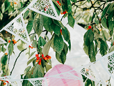 Paper garland, pearl white, 19.5 x 3m