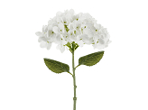 Artificial flower - Hydrangea, 35 cm, white