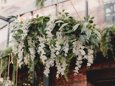 Garland Willow leaves, 2m