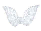 Angel's wings, white, 75 x 45cm