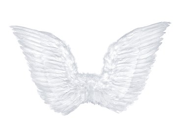 Angel's wings, white, 75 x 45cm