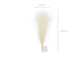 Pampas grass artificial, light cream, 10x45cm