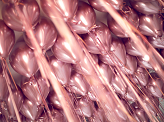 Glossy Balloons 30cm, rose gold (1 pkt / 10 pc.)