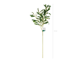 Olive branch, 91 cm