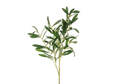 Olive branch, 91 cm