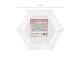 Plates Bride squad, rose gold, 23cm (1 pkt / 6 pc.)