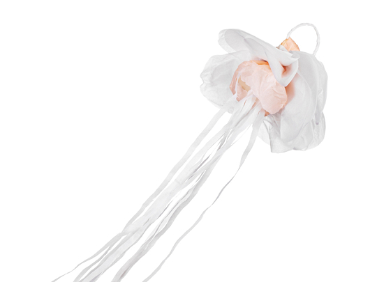 Hand Streamer Flower Set, 7,5cm Diameter, white (1 pkt / 10 pc.)