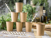 Paper Straws, gold, 19.5cm (1 pkt / 10 pc.)