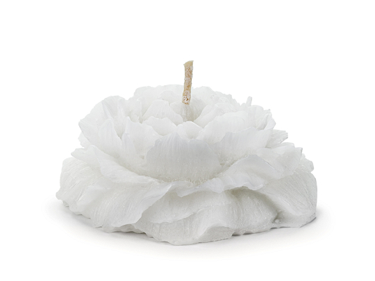 Floating candle peony, matt, white, 8 cm (1 pkt / 4 pc.)