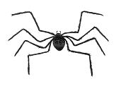 Spider Decoration, black, 103x75x9cm