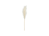 Pampas grass artificial, light cream, 15x110cm