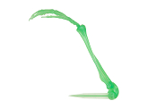 Glow-in-the-dark skeleton hands