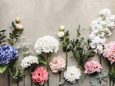 Artificial flower- Peony, 35 cm, white