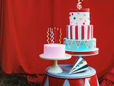 Lion Cake Topper, 16 x 16 cm, mix