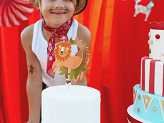 Lion Cake Topper, 16 x 16 cm, mix