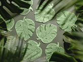 Napkins Monstera leaf, 29.1x36 cm, green (1 pkt / 12 pc.)
