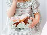 Snack boxes Horses, mix (1 pkt / 3 pc.)