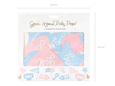 Photo props Gender reveal party, mix (1 pkt / 11 pc.)
