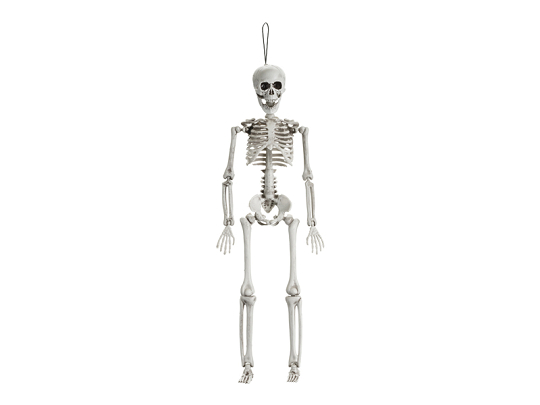 Skeleton Decoration, 40cm